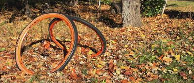 The Weather’s Changing, But Your Wheels Don’t Have To